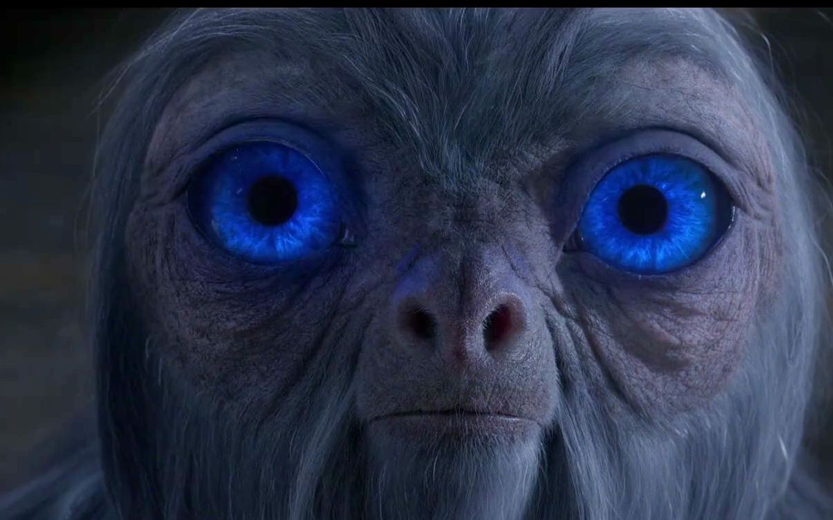 神奇动物在哪里介绍之隐形兽