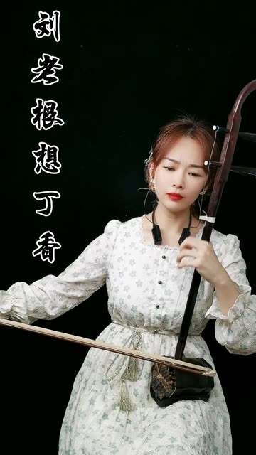 二胡版《刘老根想丁香》,何以解思念之苦,悲伤之痛.哔哩哔哩bilibili