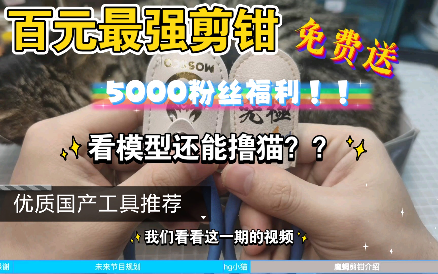 【国产模型工具推荐】+【5000粉丝福利】百元最强剪钳 告别神之手 最具性价比单刃剪钳 国产单刃剪钳 剪钳推荐 高达素组剪钳推荐哔哩哔哩bilibili