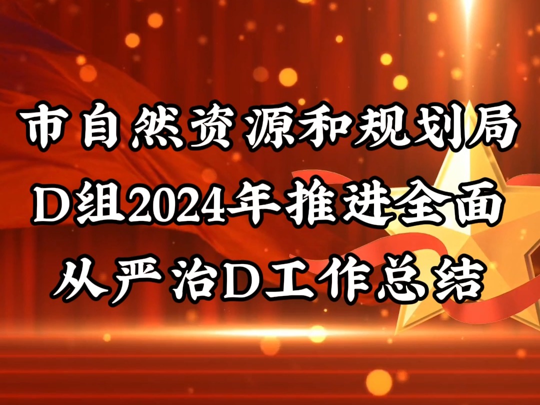 市自然资源和规划局D组2024年推进全面从严治D工作总结哔哩哔哩bilibili