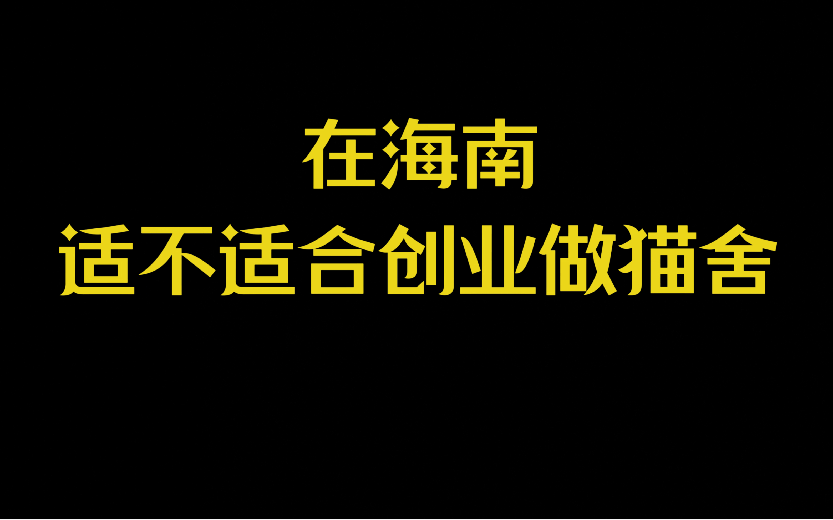 新手适不适合创业做猫舍?真的不推荐!哔哩哔哩bilibili