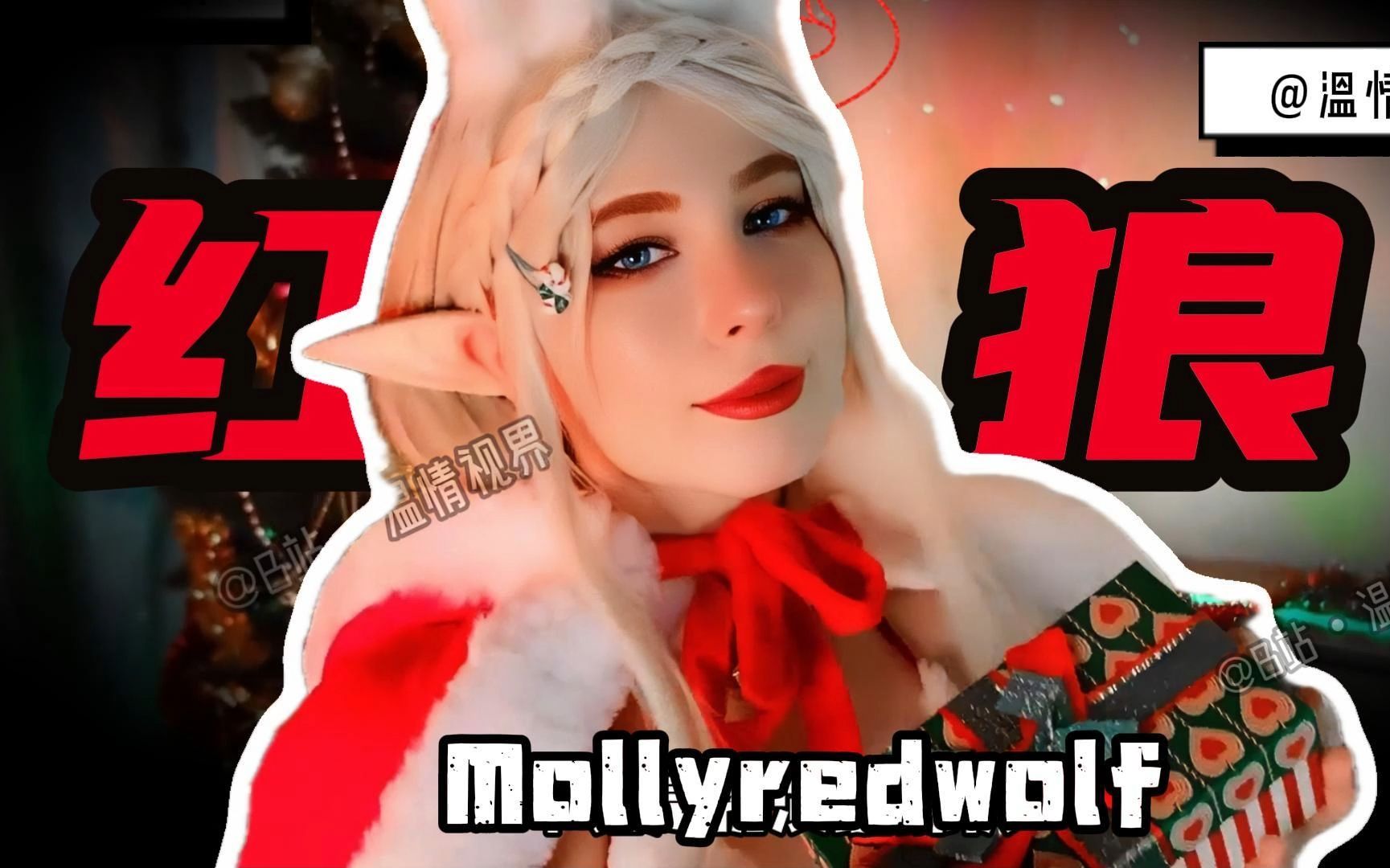 MollyRedWolf图片