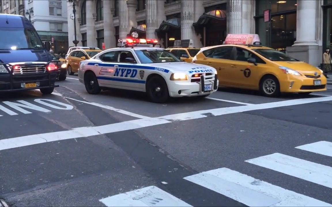 nypd纽约市警方车队出警集锦_哔哩哔哩 (゜-゜)つロ 干杯~-bilibili