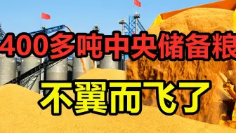 400多吨的中央储备粮，在监控下不翼而飞？26人如何空手套白狼？