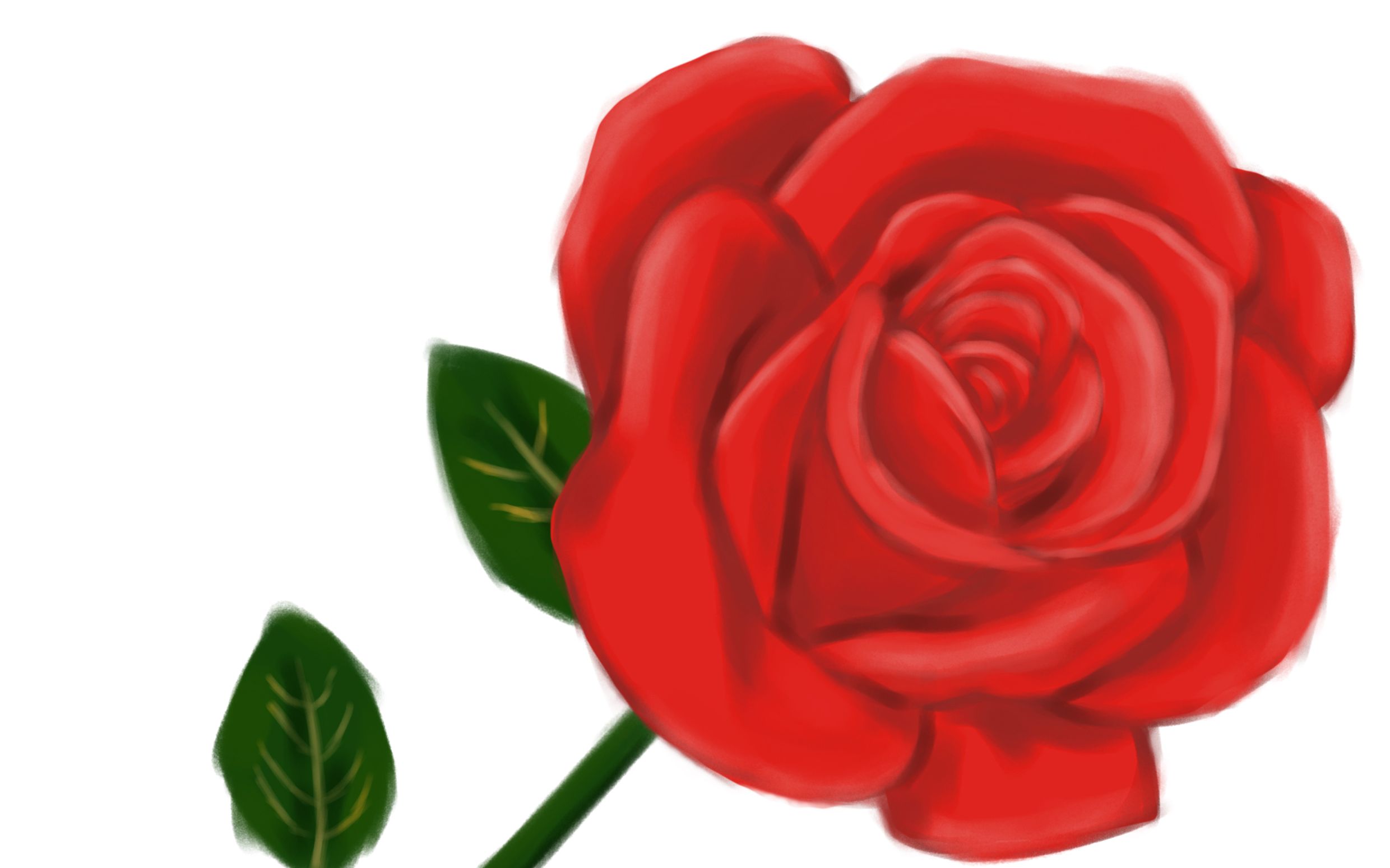 【板绘】画一支玫瑰花厚涂