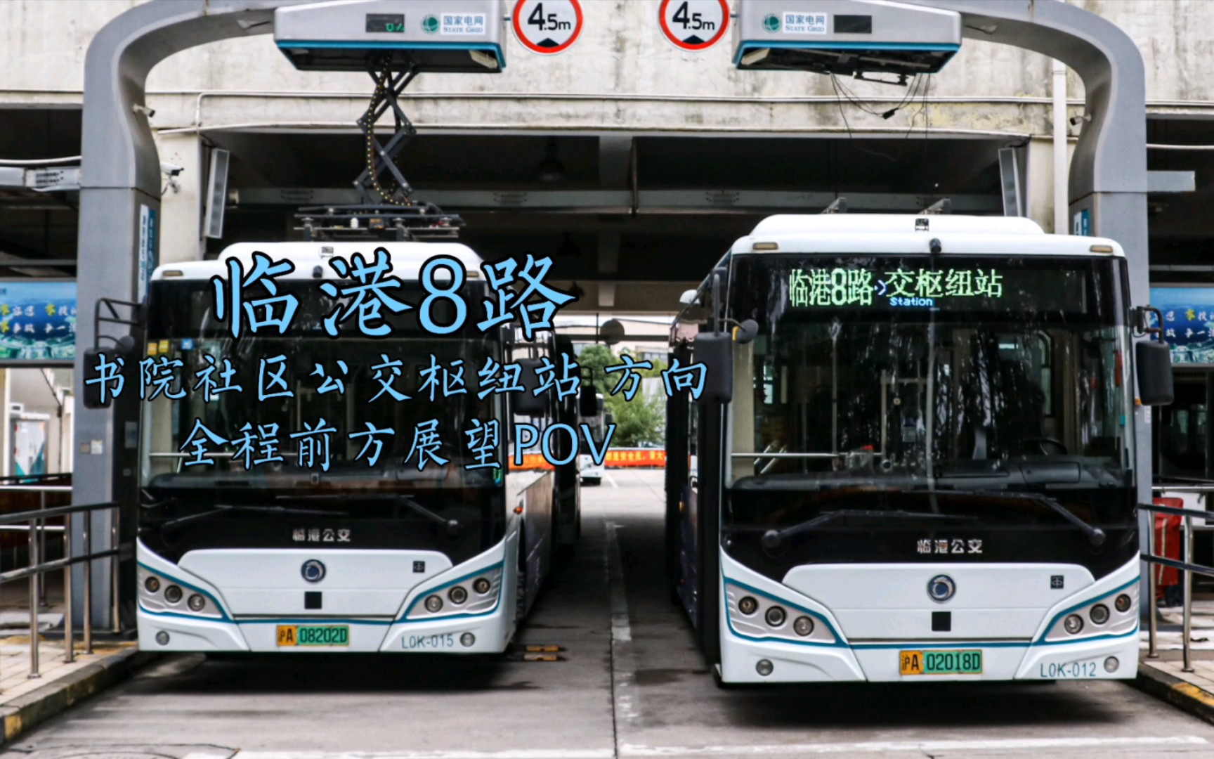 【POV127】雨中和美南汇乡景 上海公交 临港公交 临港8路 上元路沪城环路→书院社区公交枢纽站 全程前方展望POV哔哩哔哩bilibili