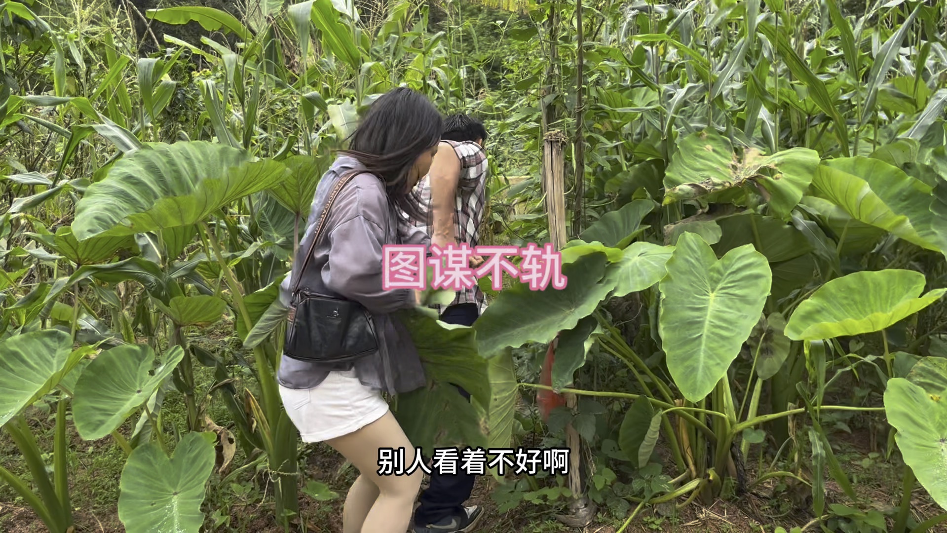 [图]农村搞笑视频，图谋不轨