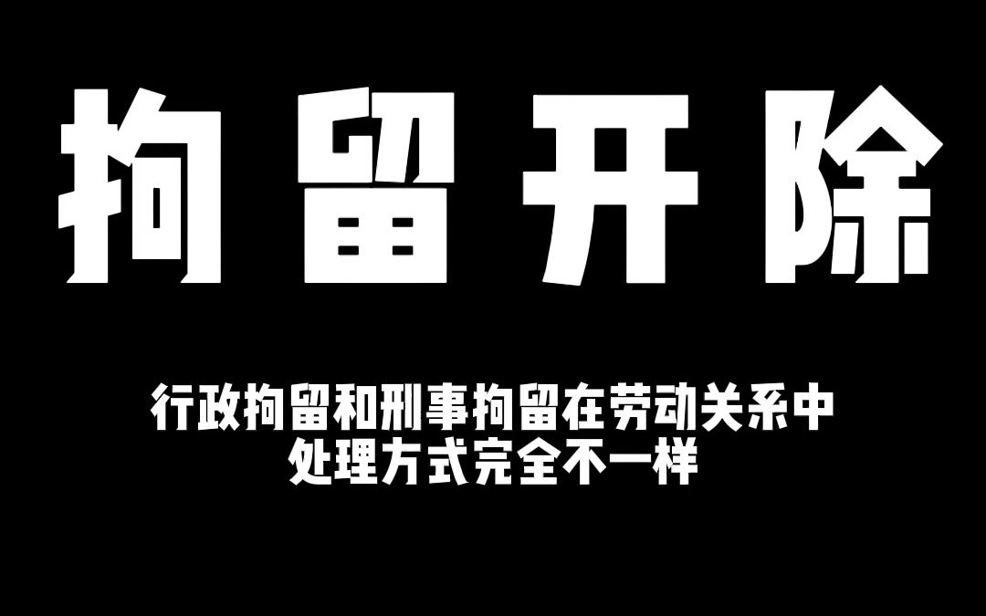 被行政拘留了?工作怎么办?大梦告诉你哔哩哔哩bilibili