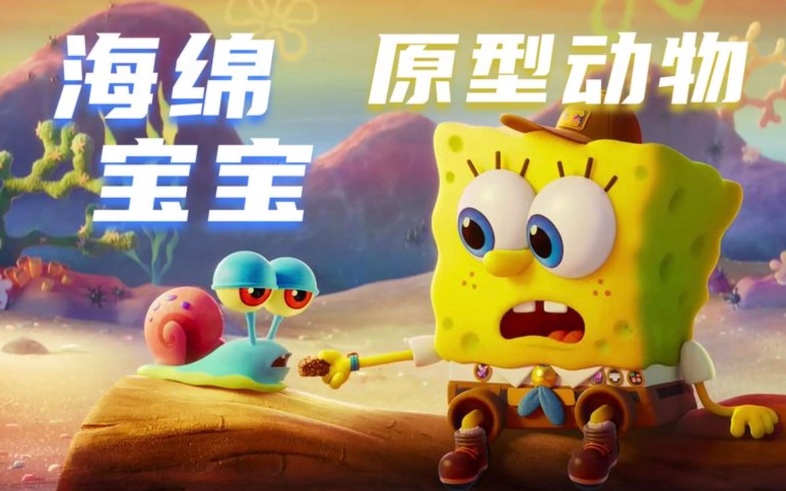 海绵宝宝里的角色 原型都是些什么动物?