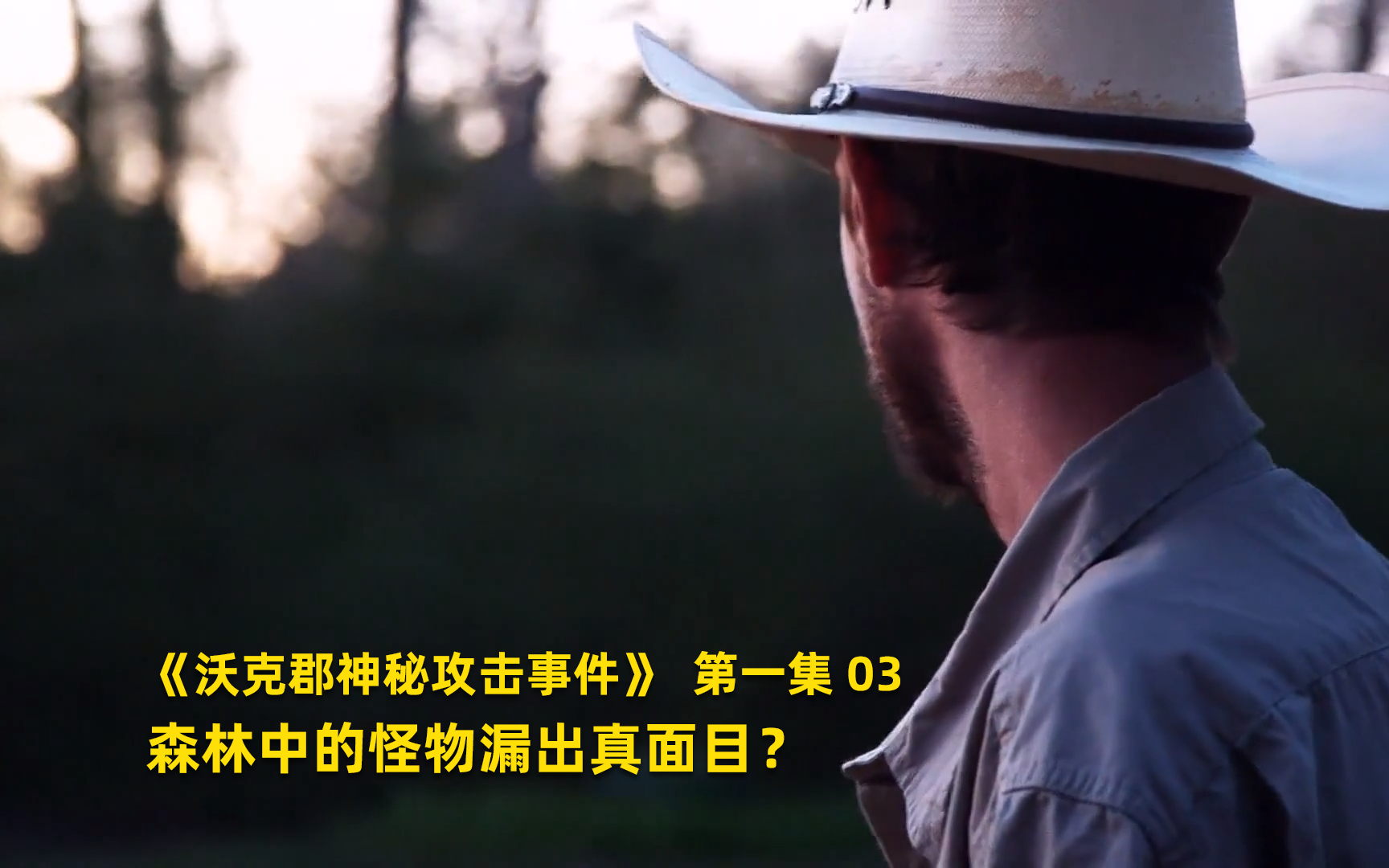 沃克郡神秘攻击事件看点3-纪录片-全集-高清正版在线观看-bilibili-哔哩哔哩