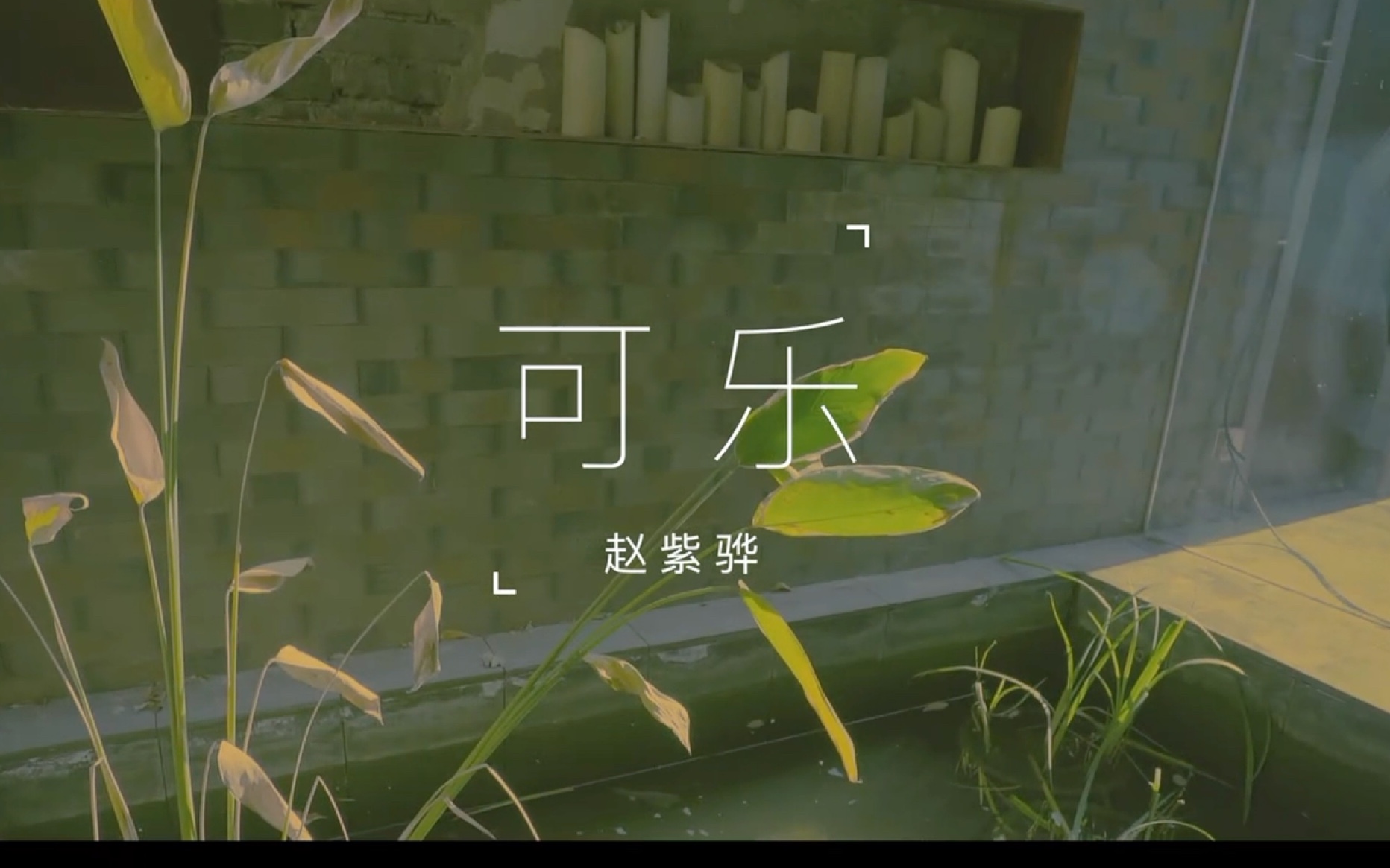 赵紫骅-《可乐》1080p 无损音质