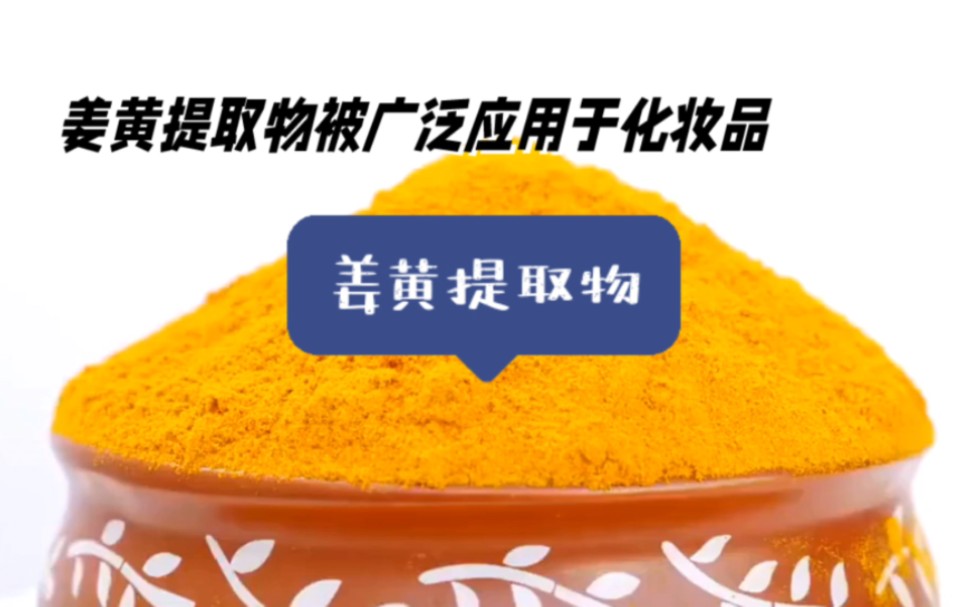 姜黄提取物-济南圣和化工有限公司