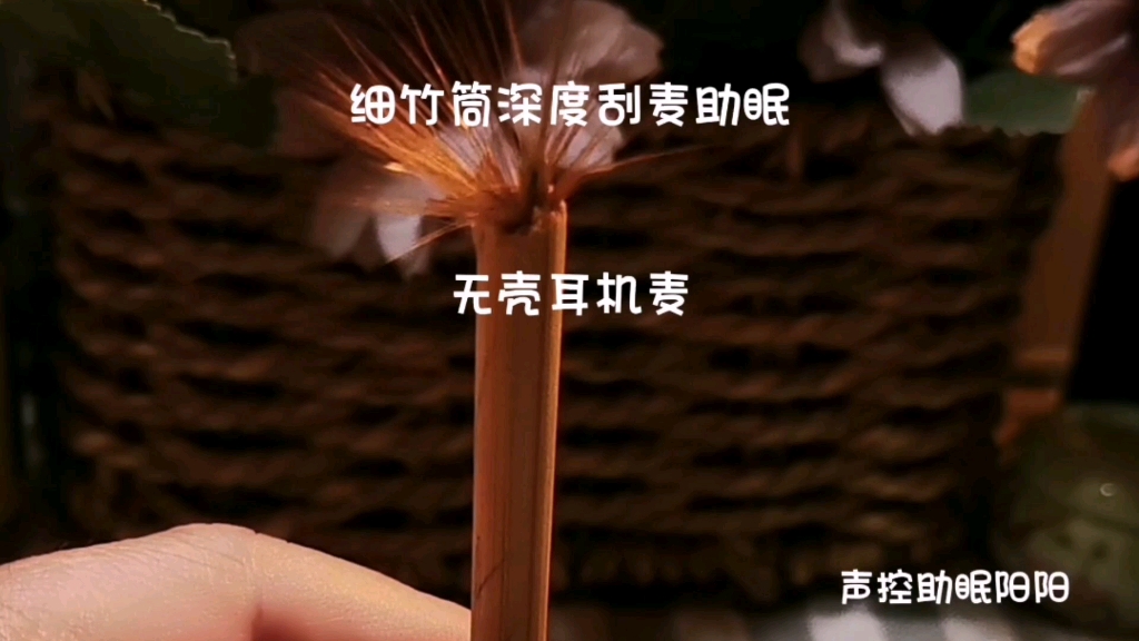 细竹筒深度刮麦助眠 无壳耳机麦开工咯 无人声 解压声控