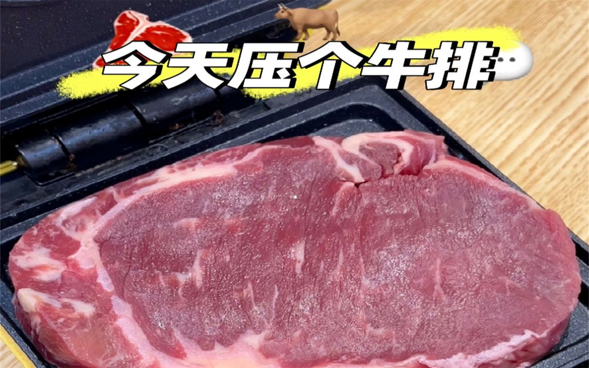 [图]牛牛：鸽姐姐们今天压牛排！