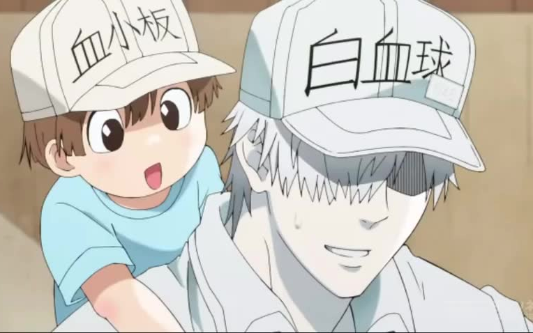 【血小板】在血小板上被当作玩具的白血球