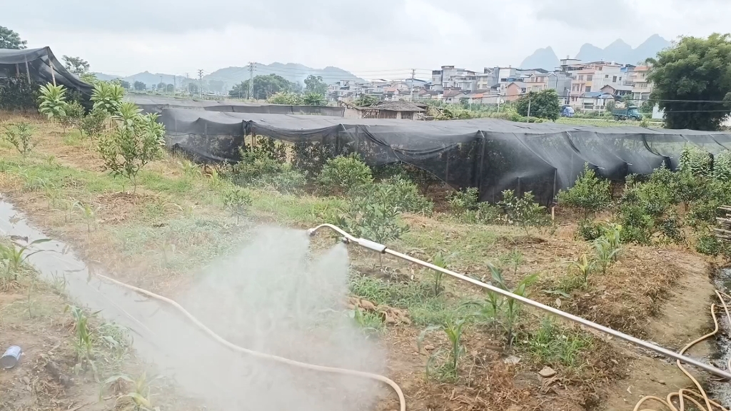 第五迈图喷头最新款测试