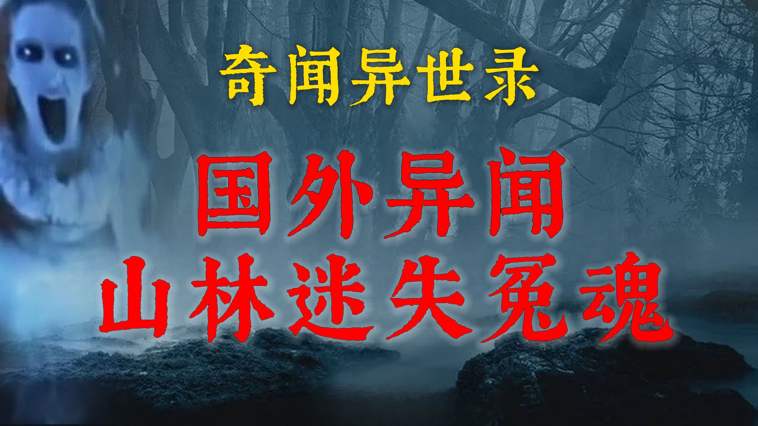 【民间怪谈】迷失在国外山林里的冤魂  鬼故事  灵异诡谈  恐怖故事  解压故事  网友讲述的灵异故事 「灵异电台」哔哩哔哩bilibili