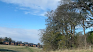 [图]Walk into the forest in the morning in Edinburgh.清晨和爱的人一起奔赴那片森林～