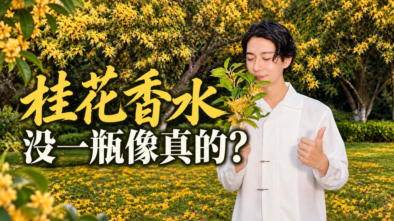 60多款桂花香❗真像的没几瓶