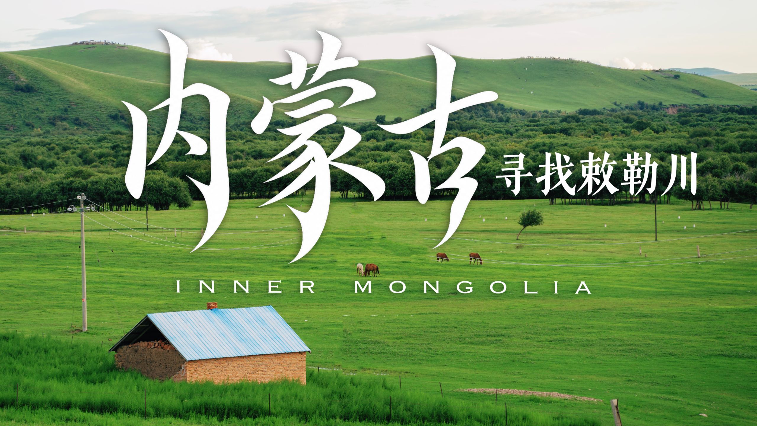 天苍苍野茫茫，中国人传唱1500年的草原现在是什么样？