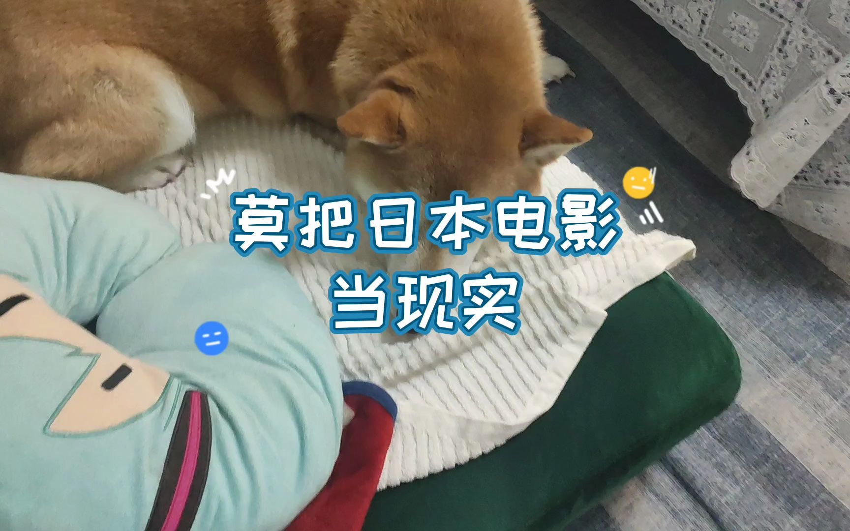 日本的电影可以看,但不要当真哦哔哩哔哩bilibili