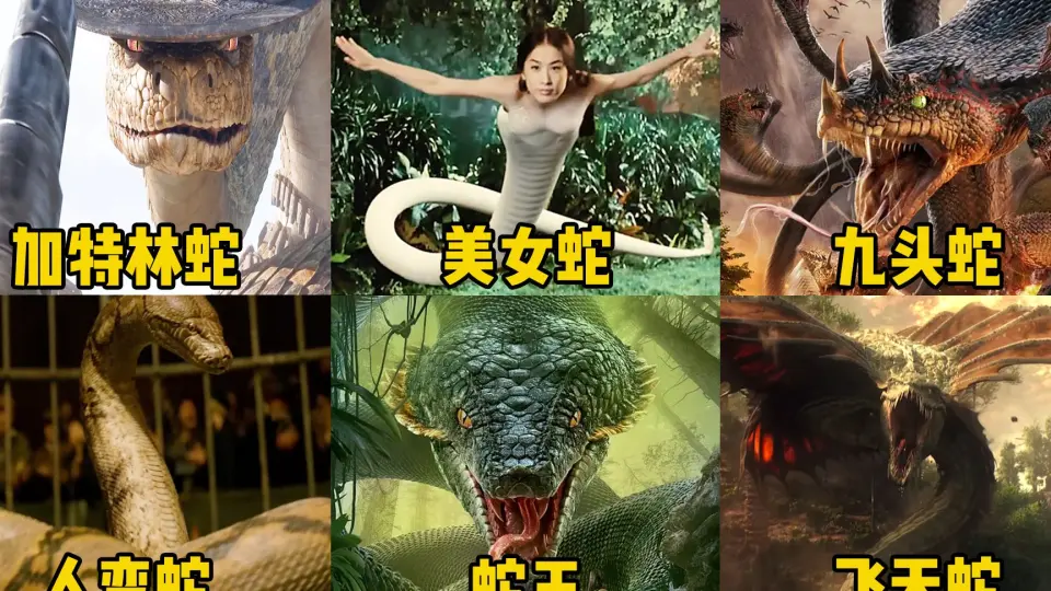 Big snake 2 chinese online movie in hindi dubbed