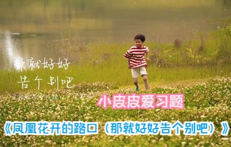 [图]小皮皮爱习题《凤凰花开的路口（那就好好告个别吧）》(蓝光MV)