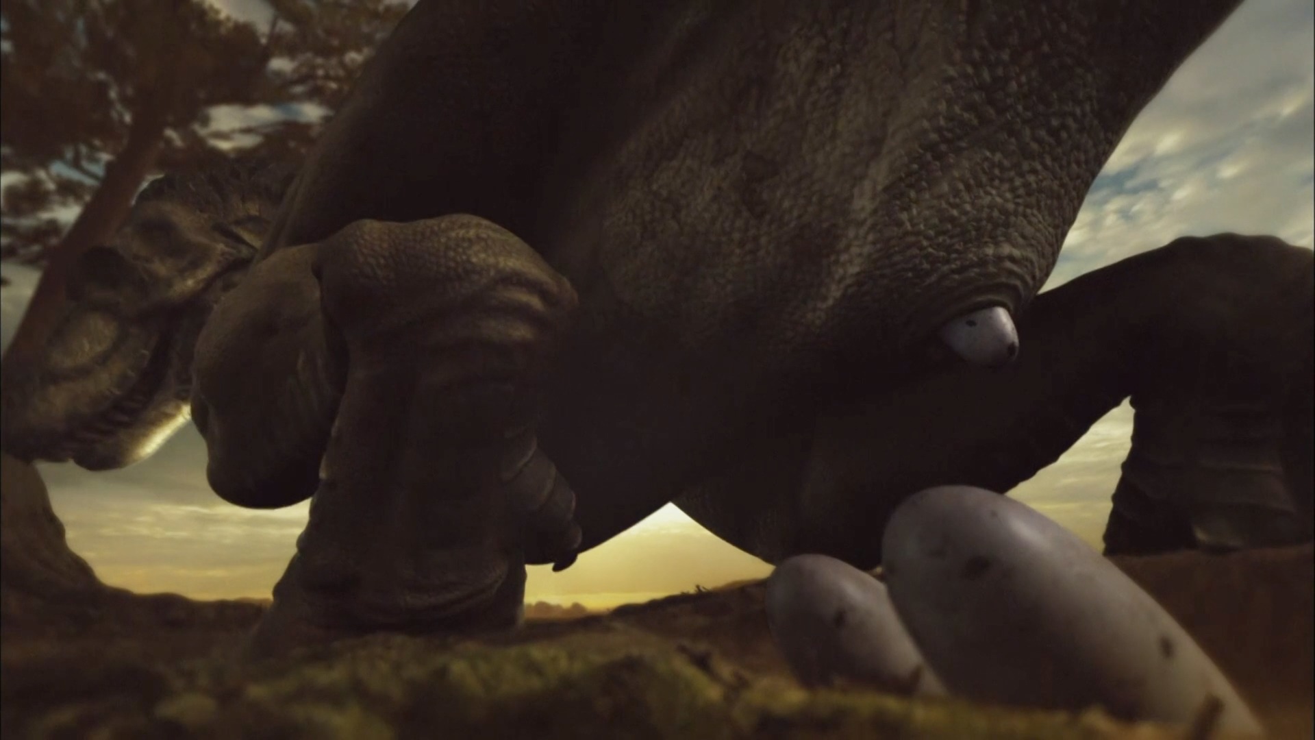 多数霸王龙死在了中年危机上