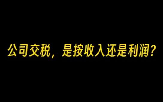 公司交税,是按收入还是利润?哔哩哔哩bilibili