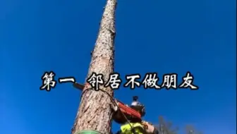 撞了100次南墙才明白的人情世故