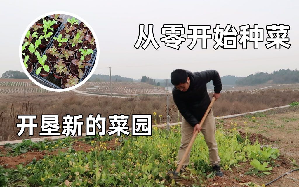 [图]从零开始种菜（1）开垦新的菜园