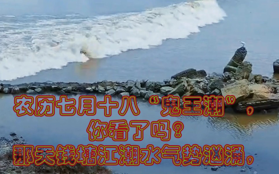 农历七月十八“鬼王潮”,你看了吗?那天钱塘江潮水气势汹涌,哔哩哔哩bilibili