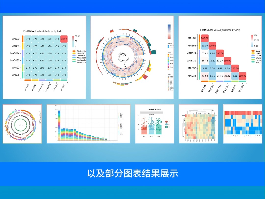 派森诺宏基因Binning 云分析全新上线哔哩哔哩bilibili