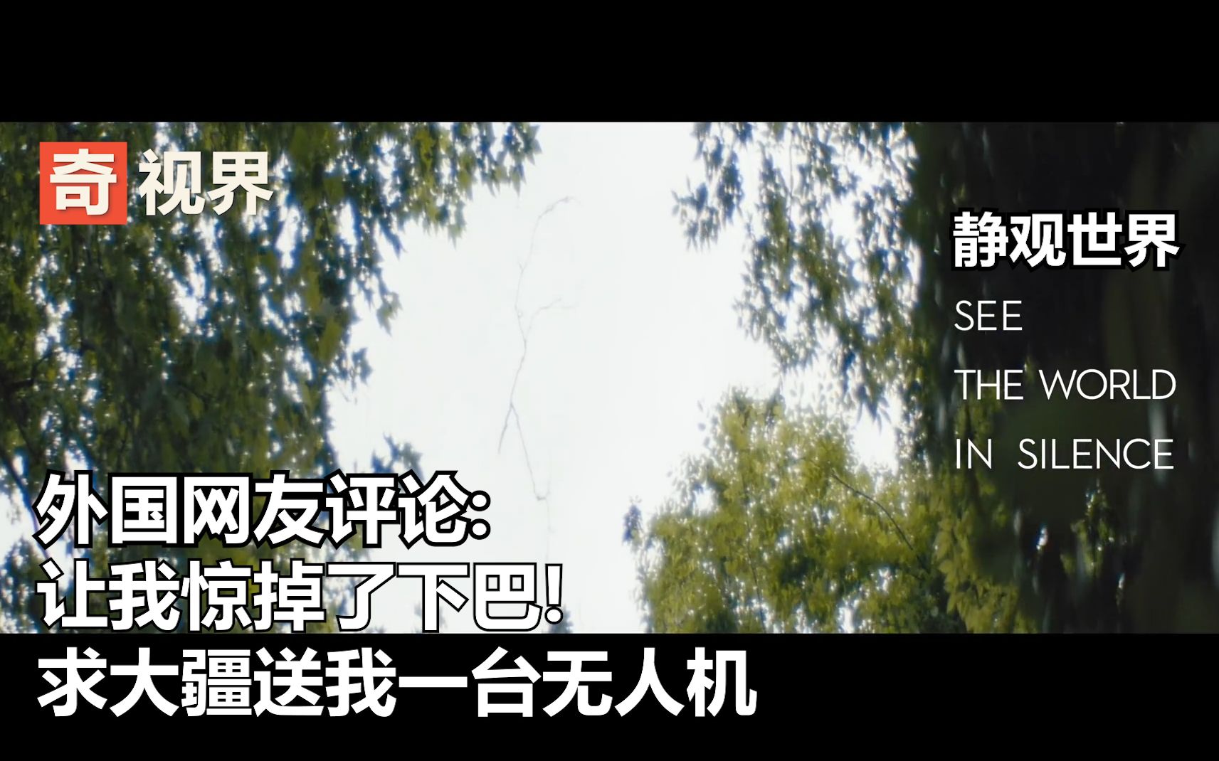 大疆故事之静观人生,附外国网友评论:我惊掉了下巴;大疆求无人机哔哩哔哩bilibili