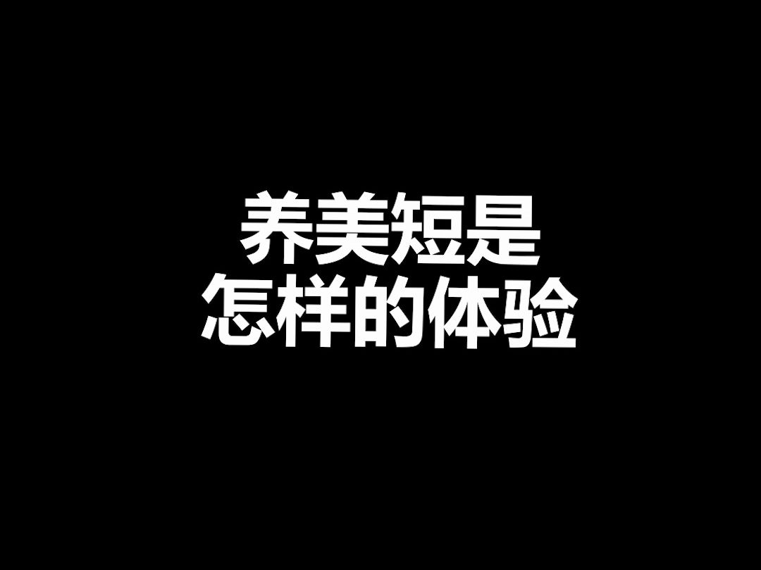 宠物冷知识:美短一个养过都说好的品种猫,到底完美在哪里?哔哩哔哩bilibili