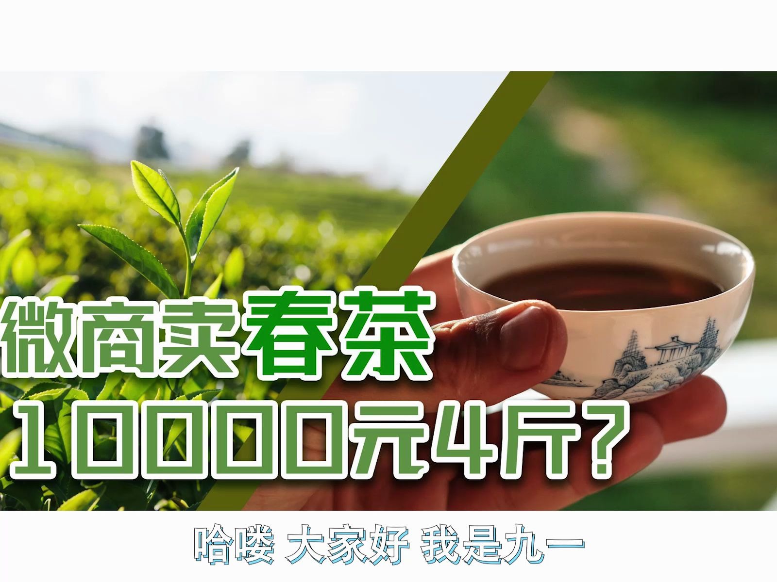 【九一真经】跟朋友圈茶商学学,如何把春天论斤卖