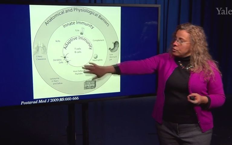 [图]【暨南大学&耶鲁大学】詹韦（Janeway）免疫生物学课程1.1（自制字幕版）（试制）