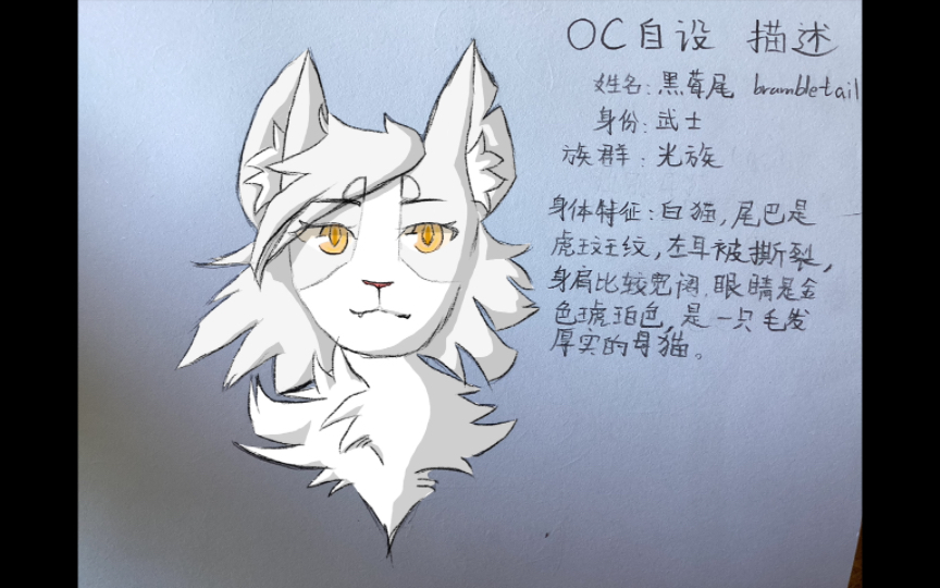 [貓武士oc ]黑莓尾/ 自設介紹(我怎麼把我自己畫的那麼, 