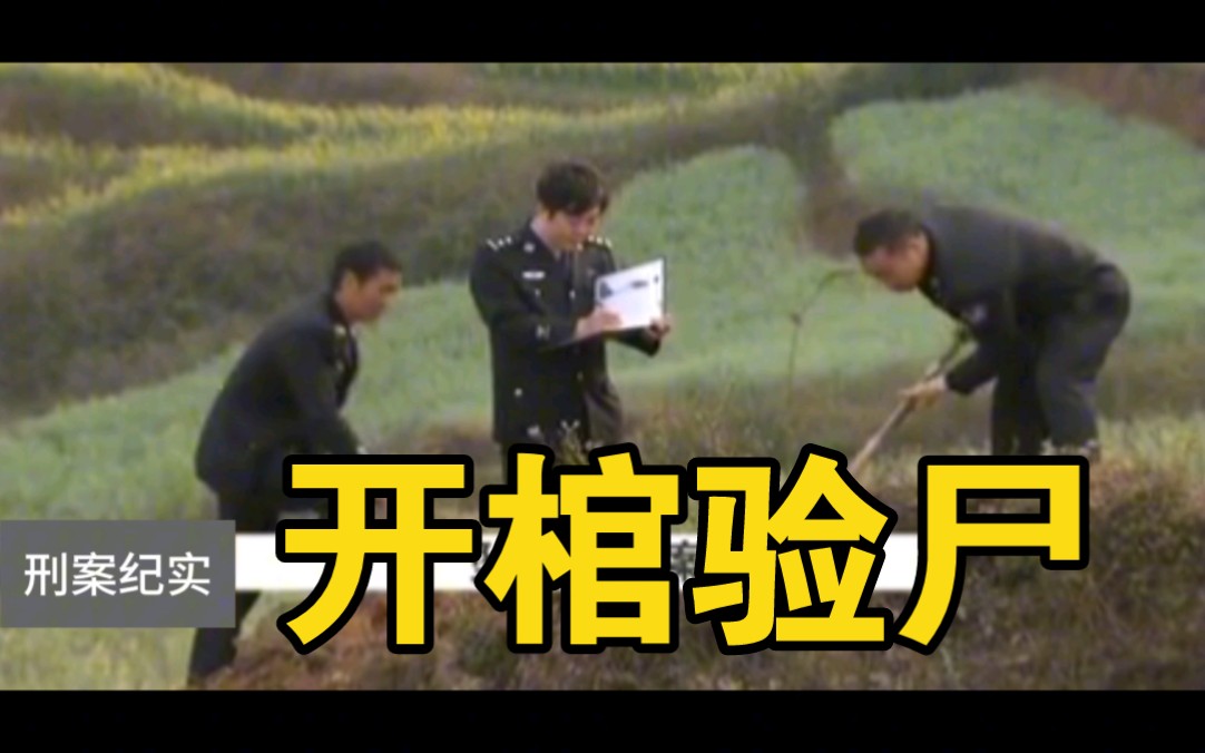 云南省罗平县《坠楼迷案》(全集)