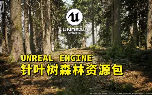 Download Video: 【UE虚幻资源】-UE5针叶树森林资源包