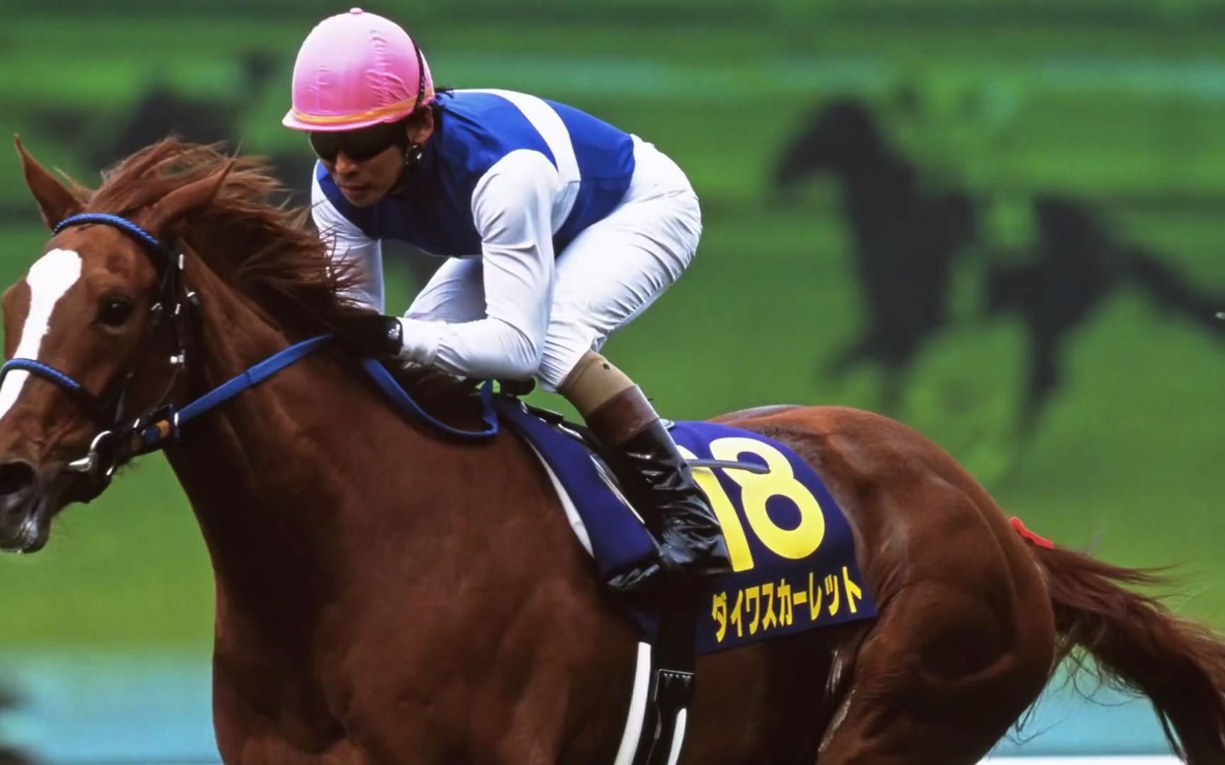 有马记念倒计时3天编织历史的名马们大和赤骥ダイワスカーレット历史