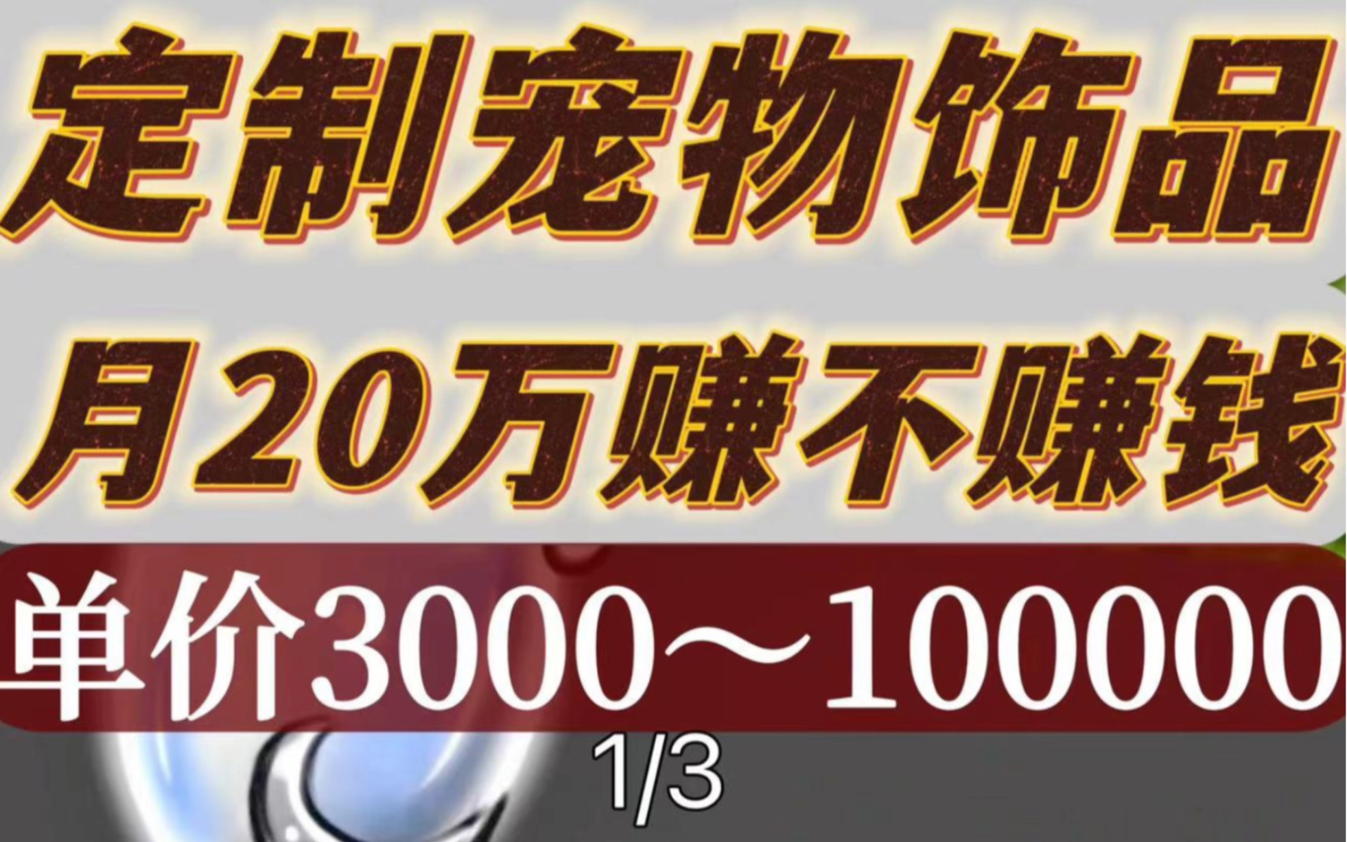 定制宠物饰品 月20万赚不赚钱 第一集哔哩哔哩bilibili