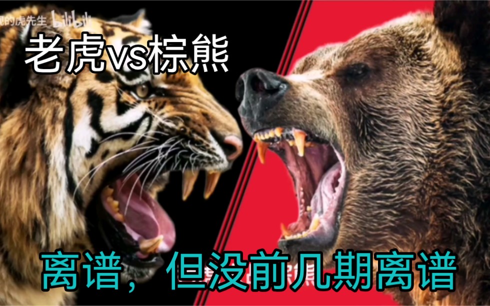 [图]【索の吐槽】虎吹神论！棕熊竟在虎吹眼中沦为老虎猎物！