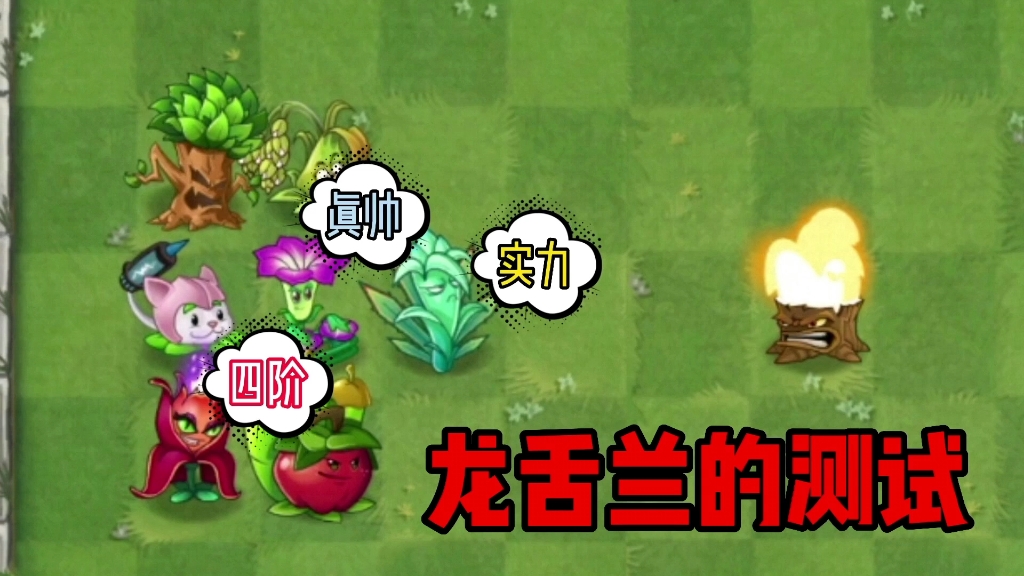 植物大战僵尸:龙舌兰还是很优秀的,虽然他只有四阶!