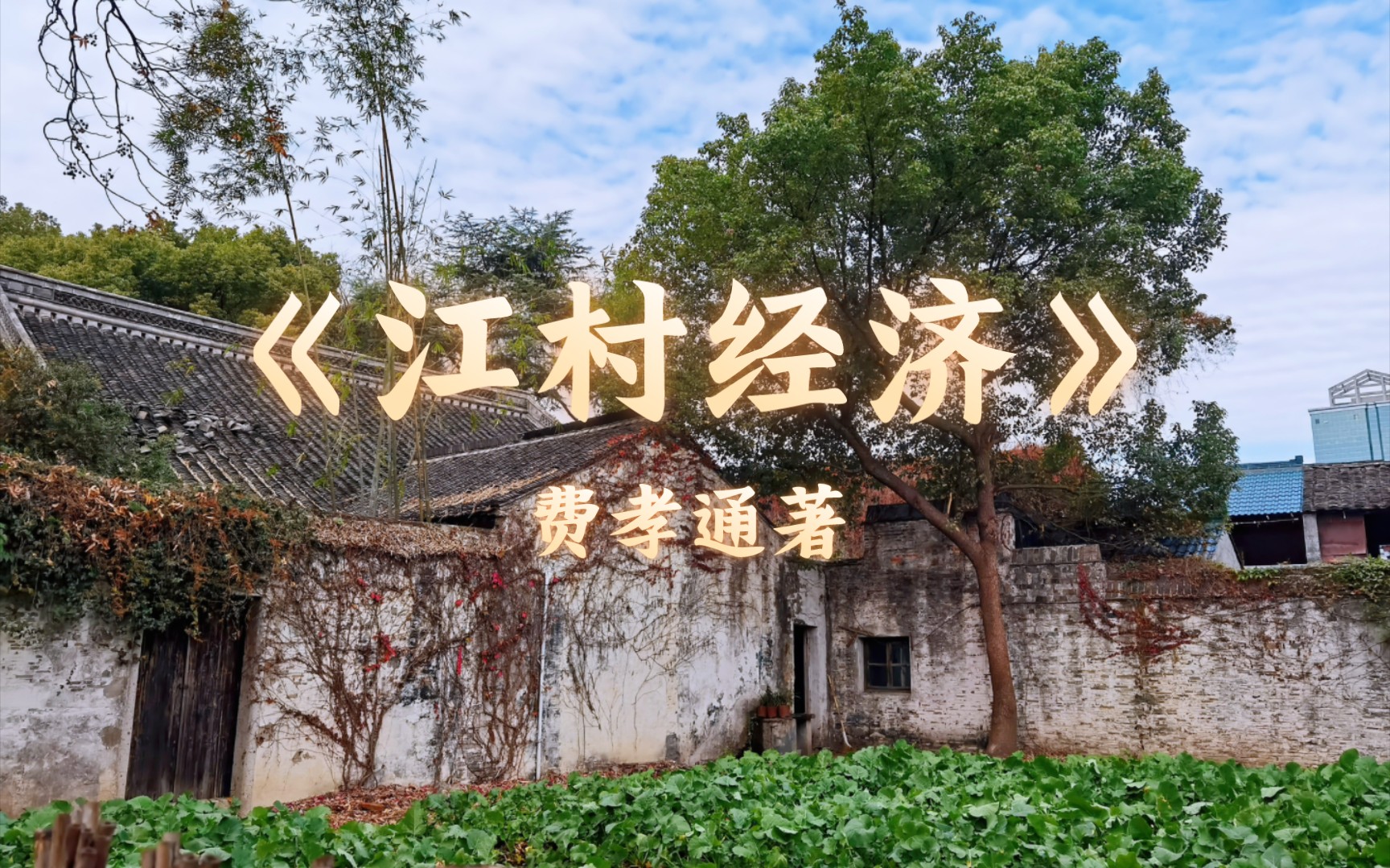 深耕细作,笃行致远|书籍推荐《江村经济》费孝通著