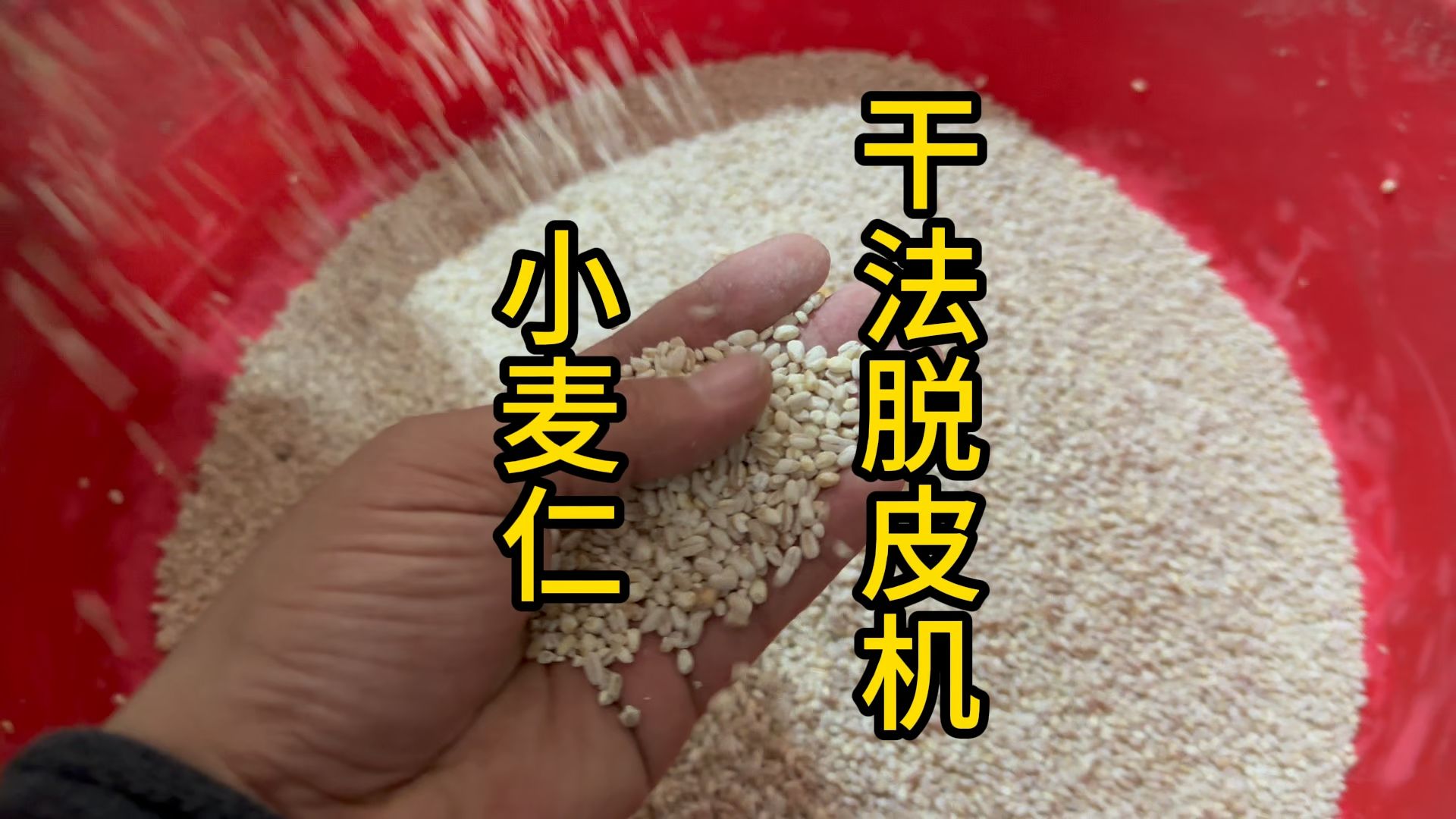 小麦干法脱皮机,麦仁脱皮机,小麦仁加工机器