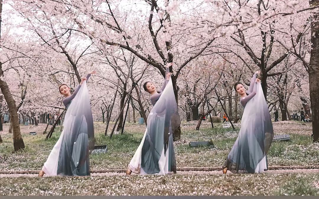 热门古风《沈园外》编舞,武汉樱花盛开了!-【单色舞蹈】(武汉)中国舞