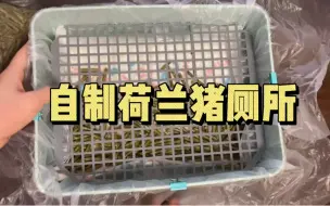 Video herunterladen: 一种自制荷兰猪/兔子厕所的思路