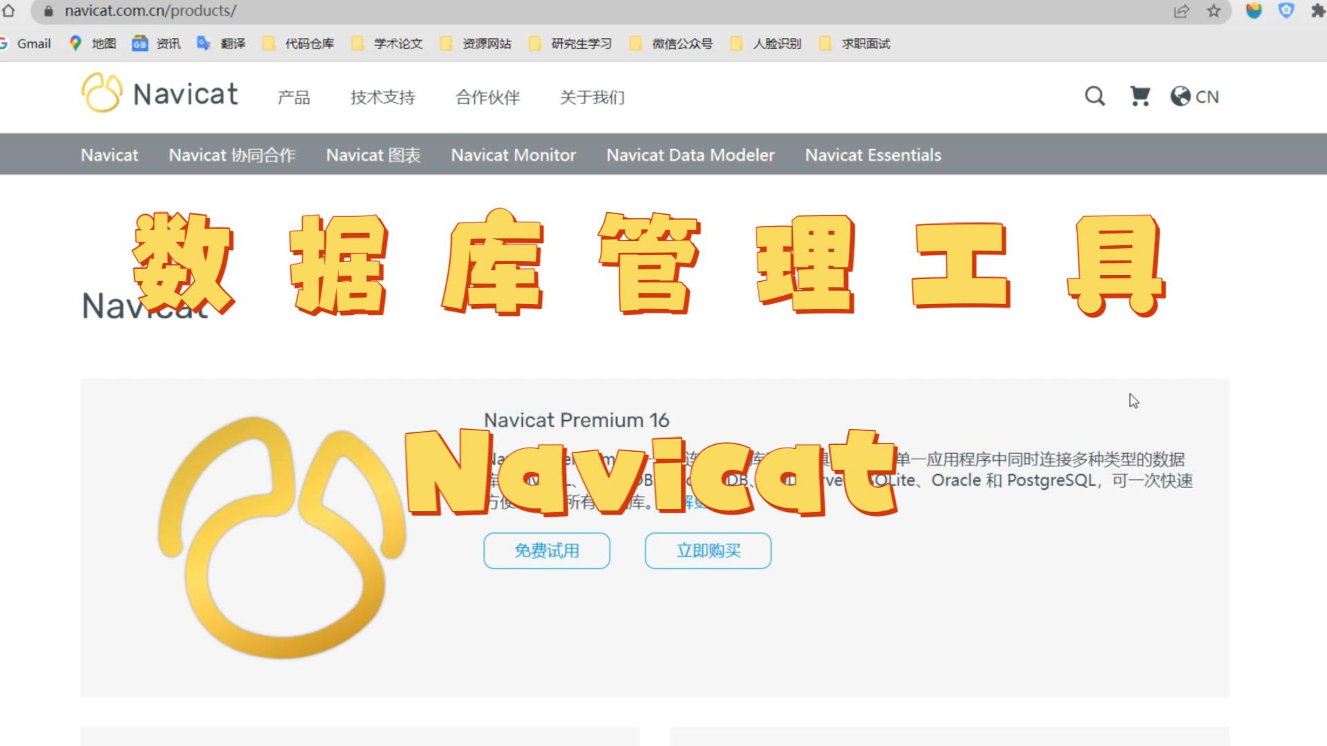 实用的数据库管理工具——Navicat哔哩哔哩bilibili