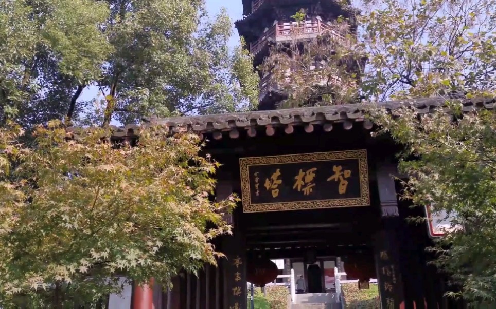 浙江海宁智标塔爬山气喘吁吁,好陡的楼梯,登顶看海宁全景值得